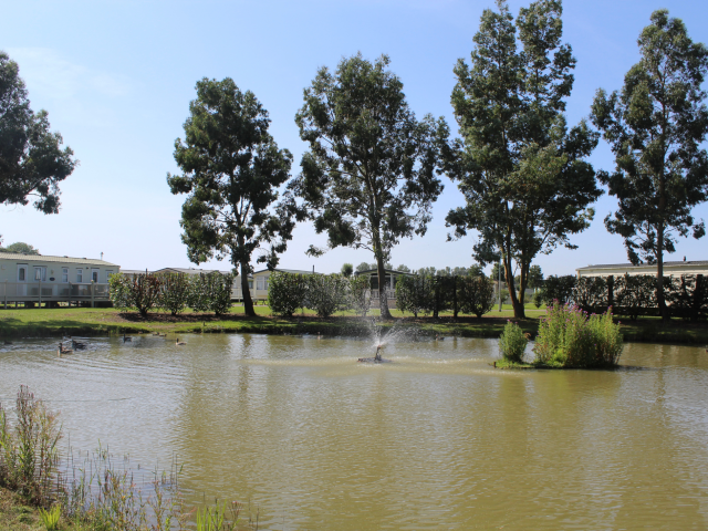 Experience Lakeside Luxury at Pine Trees: Blue Anchor Leisure's Newest Park