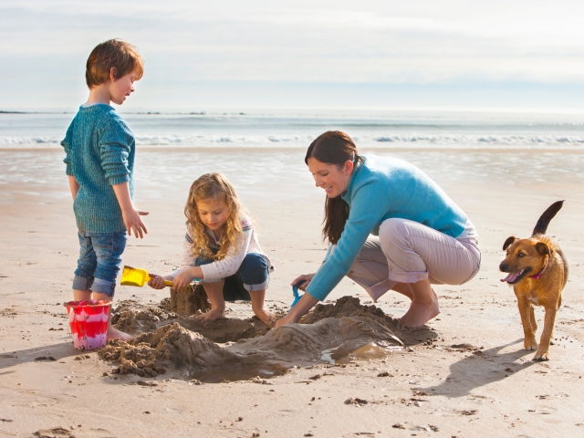 Pet-Friendly Paradise: Enjoying the Coast with Your Furry Friends