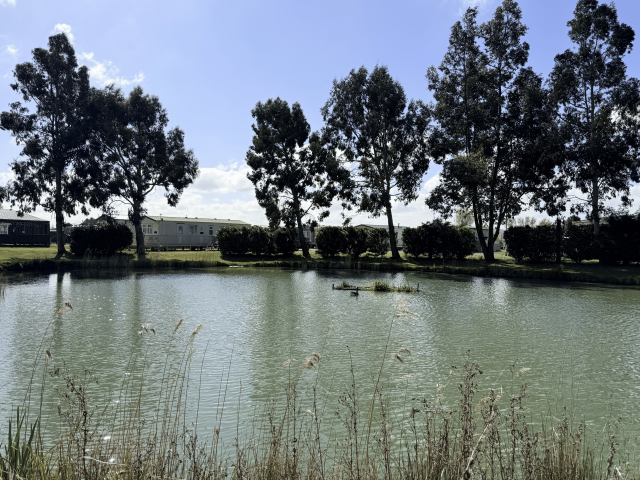 A Hidden Nature Escape on the Lincolnshire Coast