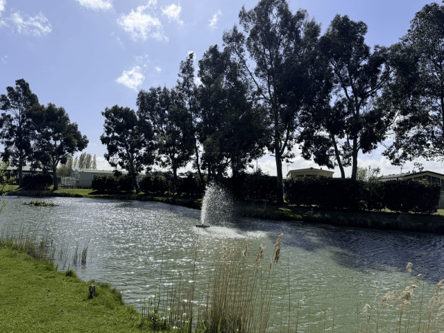 Discover the Wetlands Behind Pine Trees Leisure Park