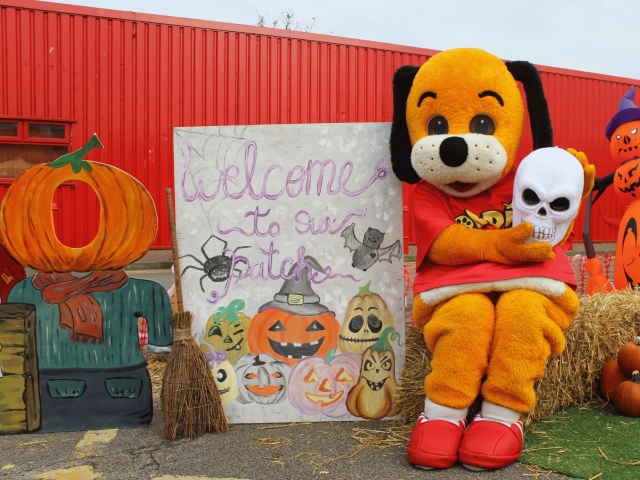 Spooky Staycations: Top Halloween Getaways at Blue Anchor Leisure