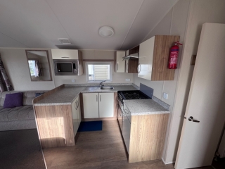 Used Willerby Rio Gold 2017 4