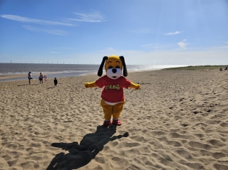 Used LAKESIDE FISHING PLOT 2026 3