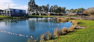 Used Victory Ashberry 2025 11