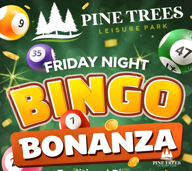 Bingo Bonanza Night