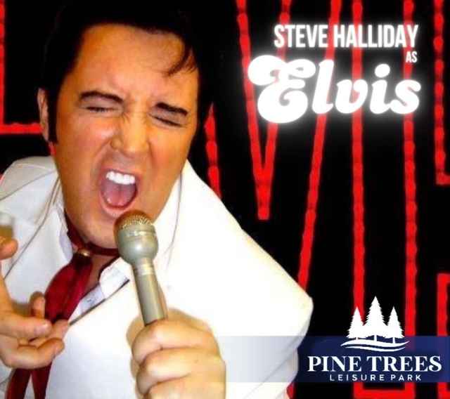 Elvis Presley by Steve Halliday