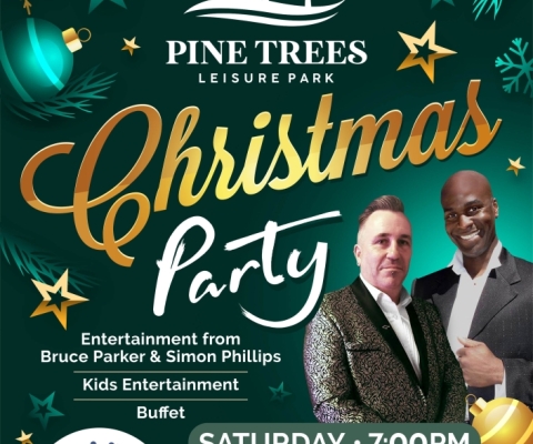Pine Trees Xmas Party Night