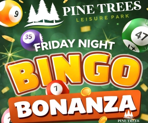 Bingo Bonanza Night
