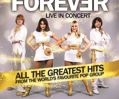 Mega Star Night...Forever Abba..Big Men in Town..Bring Back the Boy Band