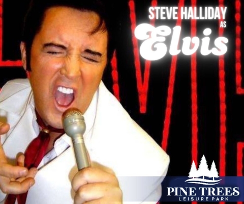 Elvis Presley by Steve Halliday