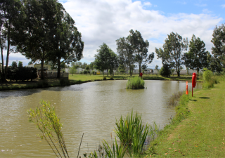 Pine Trees Leisure Park static, touring and camping site in Croft, Skegness 12