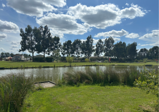 Pine Trees Leisure Park static, touring and camping site in Croft, Skegness 6