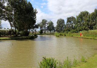 Pine Trees Leisure Park static, touring and camping site in Croft, Skegness 13