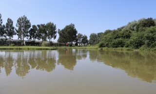 Pine Trees Leisure Park static, touring and camping site in Croft, Skegness 20