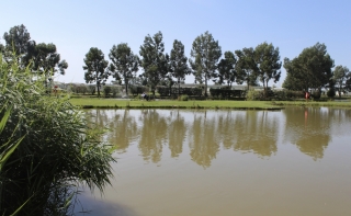 Pine Trees Leisure Park static, touring and camping site in Croft, Skegness 21