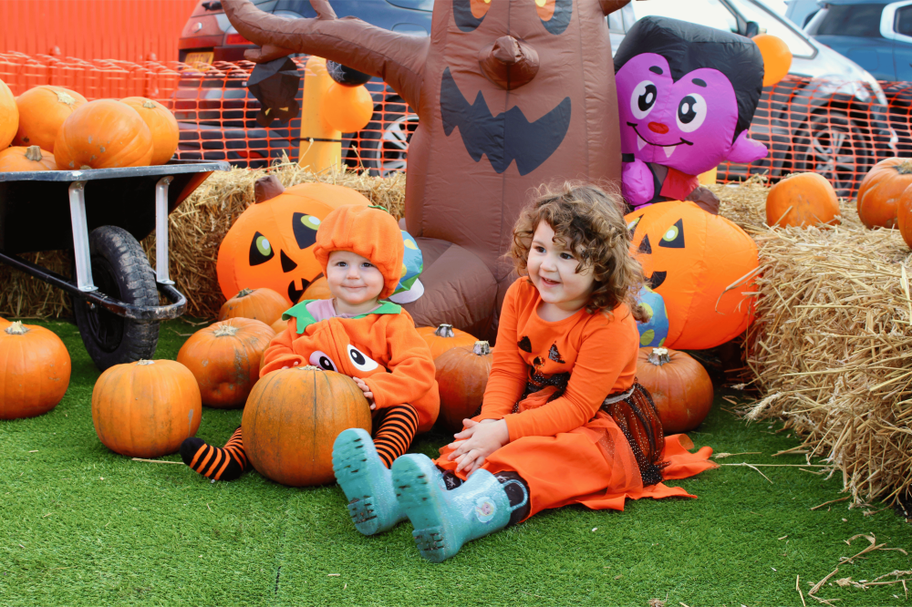 Goldies Halloween Pumpkin Patch Skegness