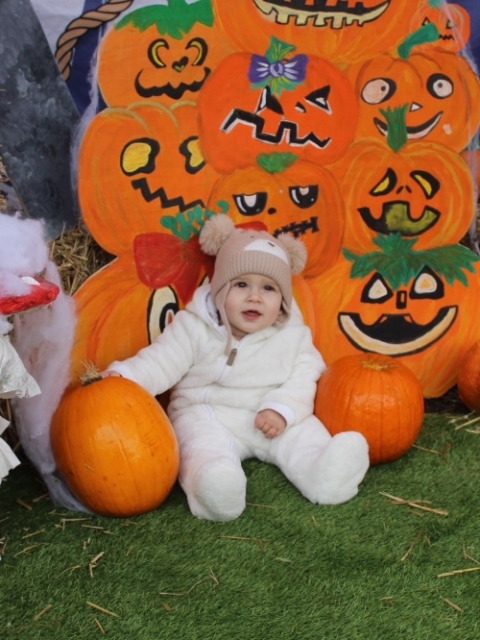 Goldies Pumpkin Patch