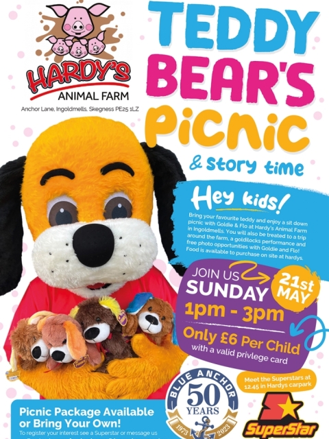 Hardy's Teddy Bears Picnic & Story Time!