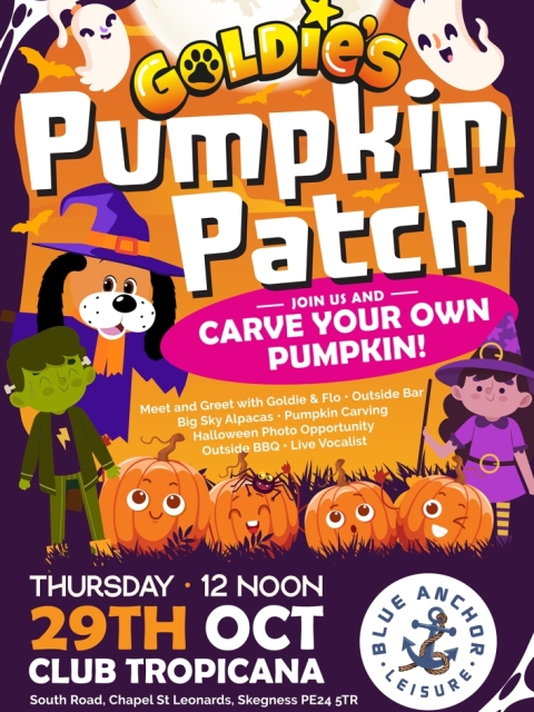 Goldies Pumpkin Patch