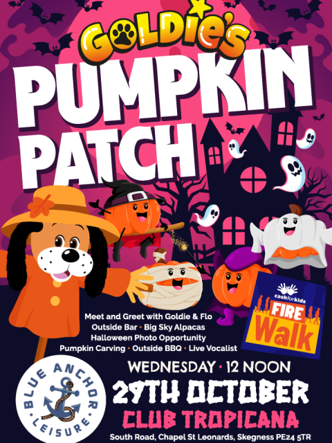 Goldie's Pumpkin Patch - Golden Palm Resort