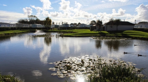 Towervans Holiday Park 5