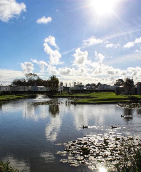 Towervans Holiday Park 2