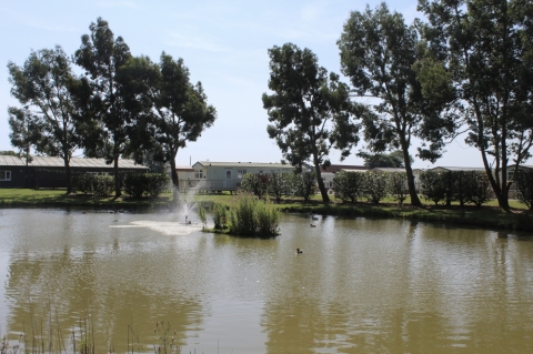 Pine Trees Leisure Park 11