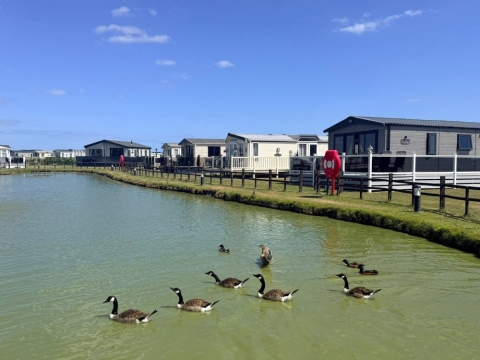 Golden Anchor Holiday Park 9