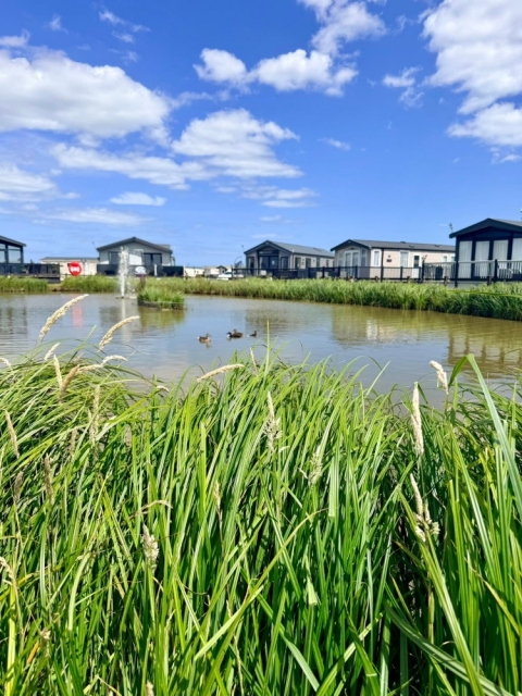 Golden Anchor Holiday Park 23