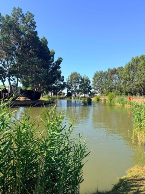 Pine Trees Leisure Park 4