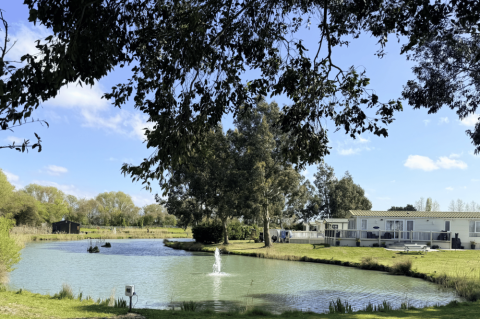 Pine Trees Leisure Park 1