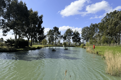 Pine Trees Leisure Park 13