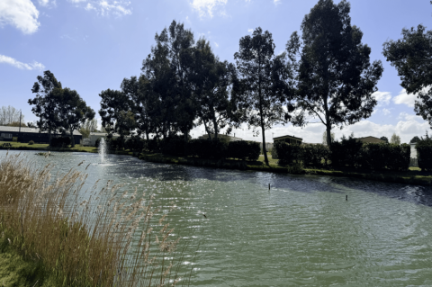 Pine Trees Leisure Park 17