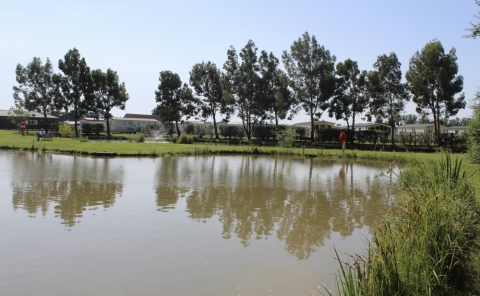 Pine Trees Leisure Park 47
