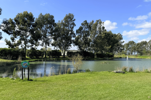 Pine Trees Leisure Park 18